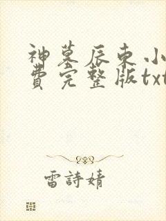 神墓辰东小说免费完整版txt