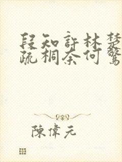 段知许林楚楚江疏桐奈何惊鸿入我心