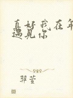 真好 我在年少遇见你