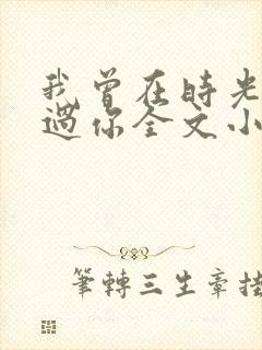 我曾在时光里听过你全文小说