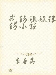 我的姐姐很弟控的小说