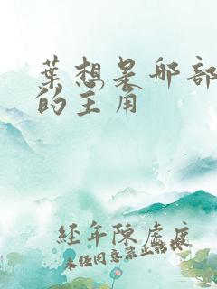 叶想是哪部小说的主角