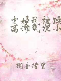 少妇我被躁爽到高潮几次小说