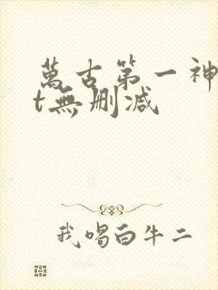 万古第一神txt无删减