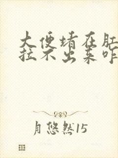 大便堵在肛门口拉不出来咋办