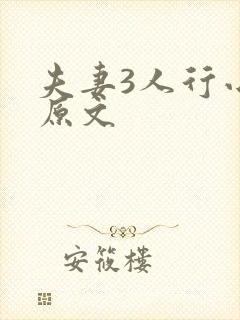 夫妻3人行小说原文