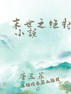 末世之绝对独宠 小说