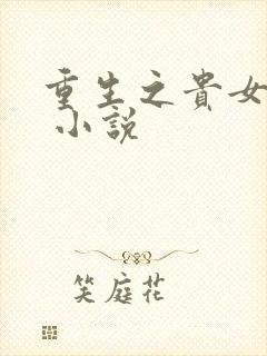 重生之贵女难求 小说