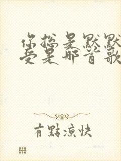 你总是默默的承受是哪首歌的歌词