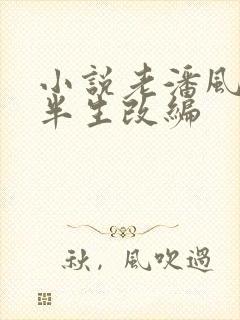 小说老潘风流下半生改编