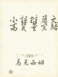 小说推荐文笔好高质量完结女主