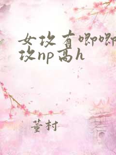 女攻有唧唧的女攻np高h