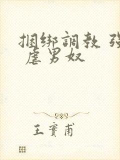 捆绑调教 强制 虐男奴