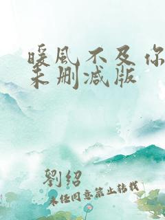 暖风不及你情深未删减版