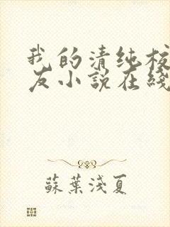 我的清纯校花女友小说在线阅读