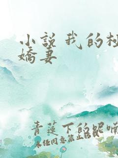 小说 我的极品娇妻