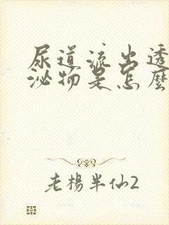 尿道流出透明分泌物是怎么回事