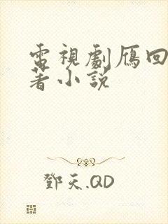 电视剧雁回时原著小说