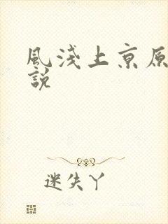 风浅上京原著小说