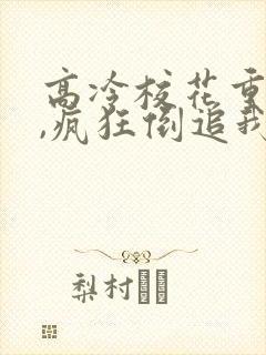 高冷校花重生了,疯狂倒追我小说