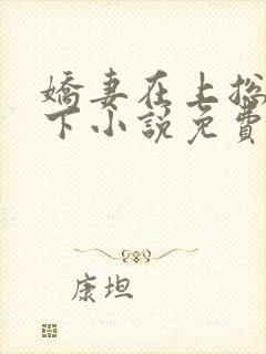 娇妻在上总裁在下小说免费阅读