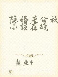 隐婚老公放肆宠小说在线