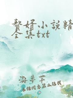 赘婿小说精校版全集txt