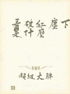 看破红尘下一句是什么