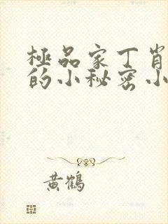 极品家丁肖青璇的小秘密小说