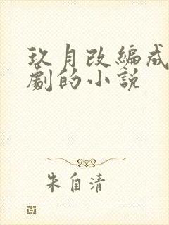 玖月改编成电视剧的小说