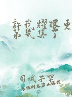 许我耀眼更新到第几集了