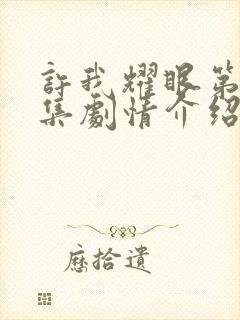 许我耀眼第19集剧情介绍