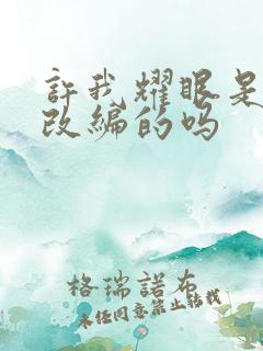 许我耀眼是小说改编的吗