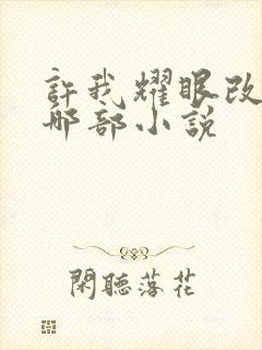 许我耀眼改编自哪部小说