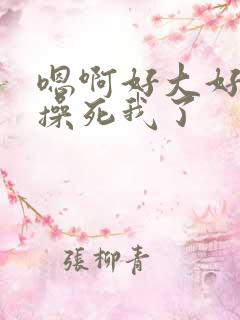 嗯啊好大好爽啊操死我了