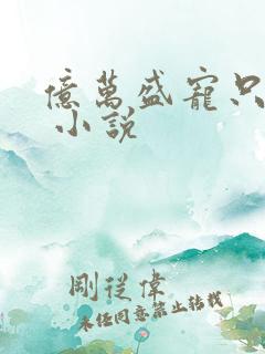 亿万盛宠只为你 小说