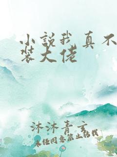 小说我真不是女装大佬