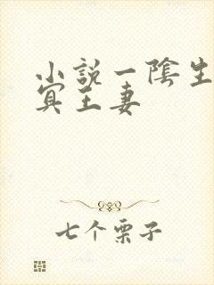 小说一阴生子,冥王妻