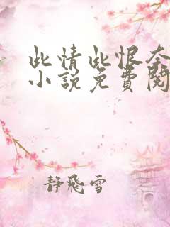 此情此恨奈何天小说免费阅读全文