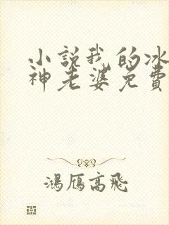 小说我的冰山女神老婆免费阅读