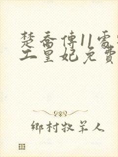 楚乔传11处特工皇妃免费全文