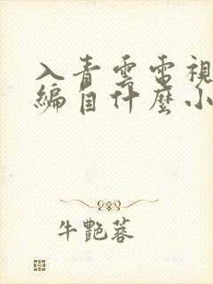 入青云电视剧改编自什么小说