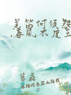 羌笛何须怨杨柳,春风不度玉门关什么意思