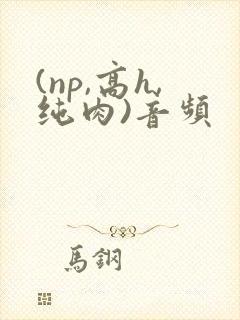(np,高h,纯肉)音频