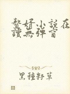 赘婿小说在线阅读无弹窗