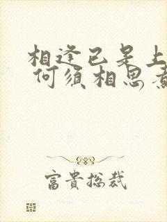 相逢已是上上签 何须相思煮余年的意思