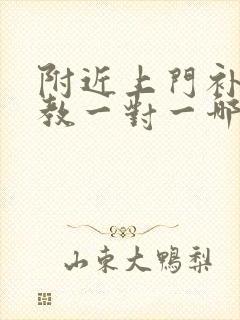 附近上门补课家教一对一哪里好