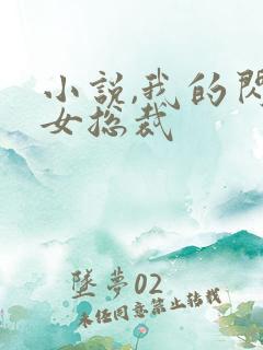 小说,我的闪婚女总裁