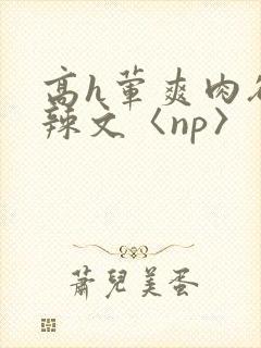 高h荤爽肉欲文辣文〈np〉