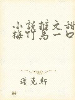 小说推文甜文青梅竹马一口气看完